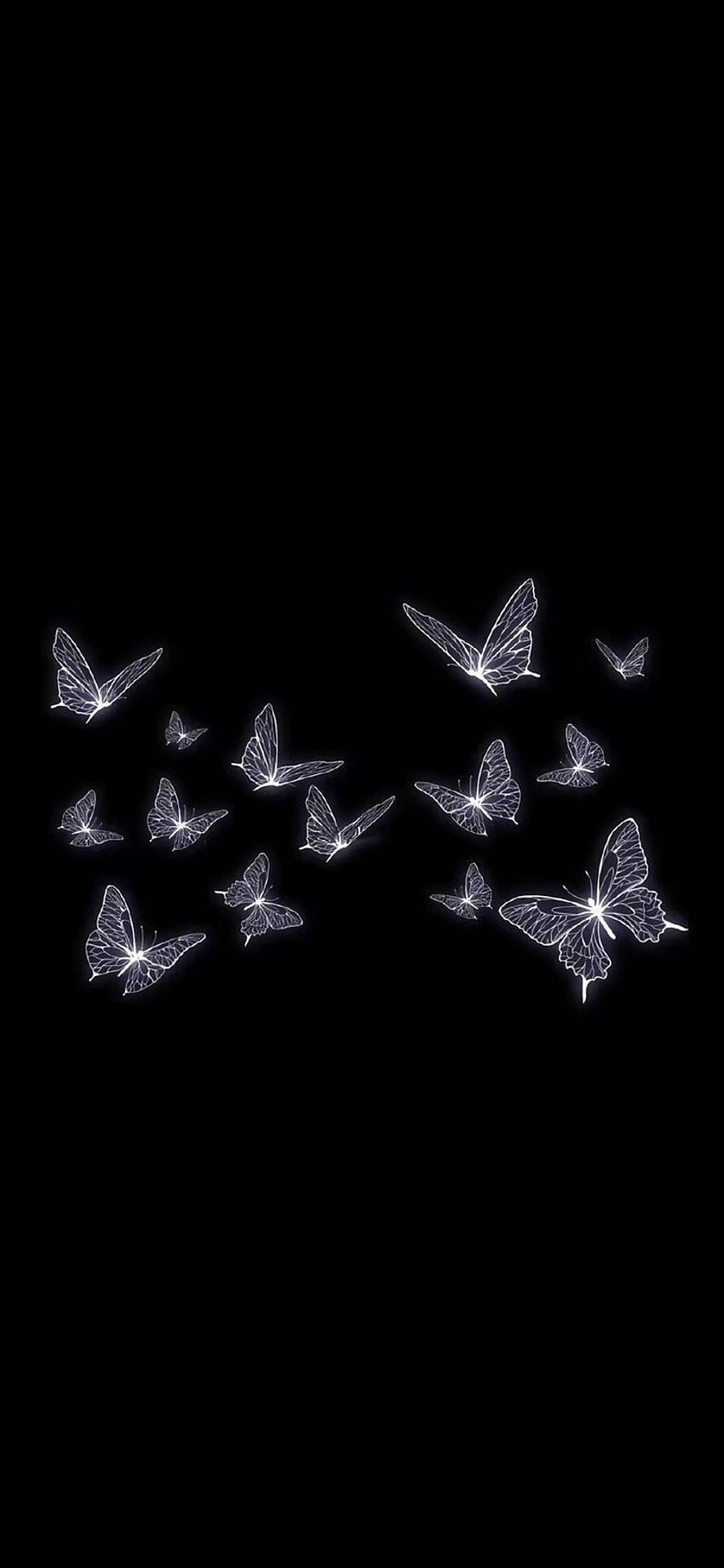Butterfly, black, minimalist HD phone wallpaper | Pxfuel