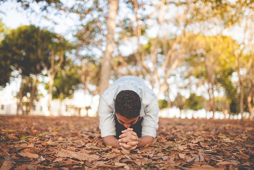 / hombre arrodillado en deja el suelo con las manos cruzadas en oración, hombre rezando en el bosque fondo de pantalla