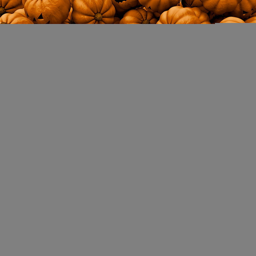 1073 0: Calabazas de Halloween iPad fondo de pantalla del teléfono