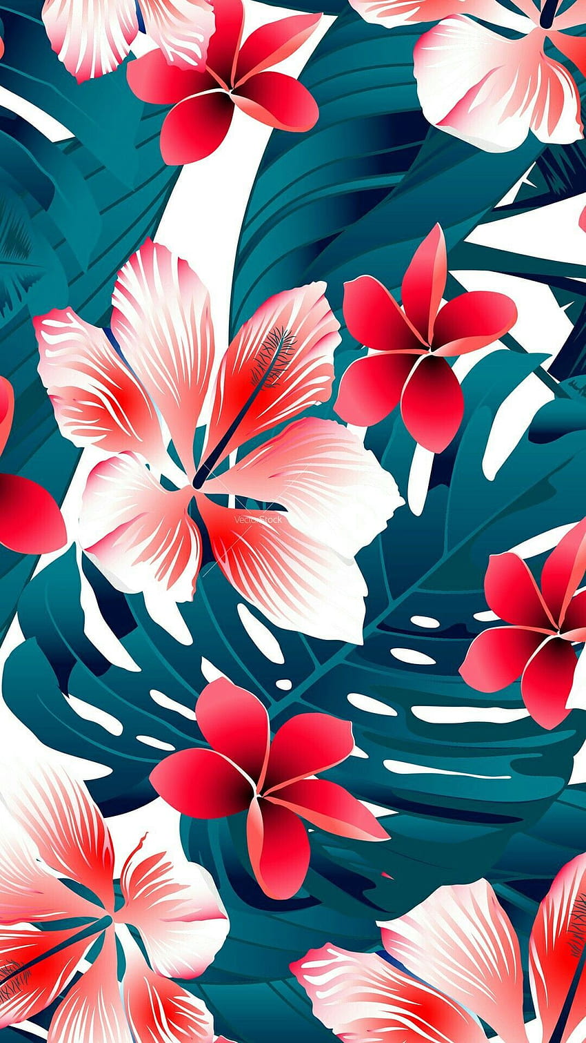 iPhone . Венчелистче, хавайски хибискус, цвете, франжипани HD тапет за телефон