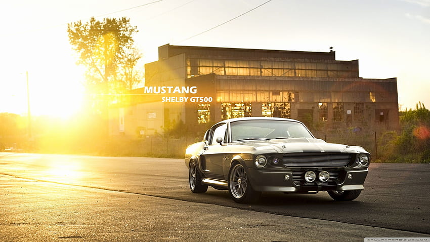 American Muscle Cars Qualified wide - Classic, All American Muscle Cars papel de parede HD