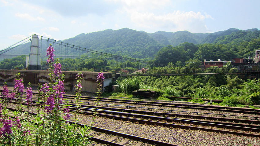 Most kolejowy i wiszący, Kolej, kwiat, most wiszący, podróż, góra Tapeta HD