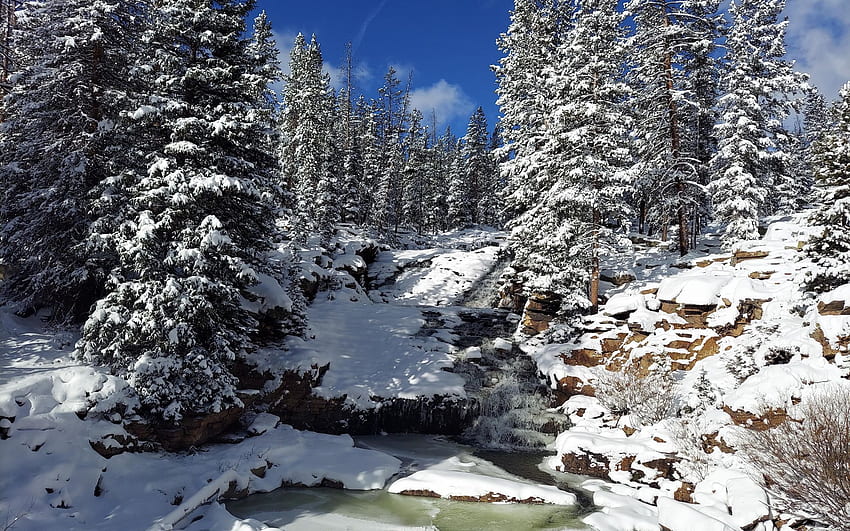 Provo River Upper Falls, Utah, Winter, Trees, Sky, Snow, Usa Hd 