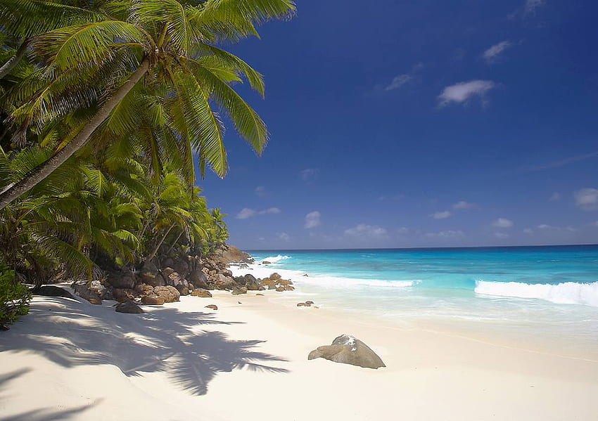 Anse Victorin, blue, island, palms, tropical, paradise, rocks, seychelles, heaven, sky, white sand HD wallpaper
