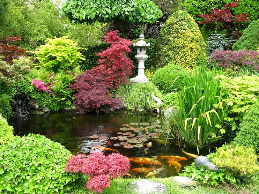 Японска градина, други, японски, градина, природа HD тапет