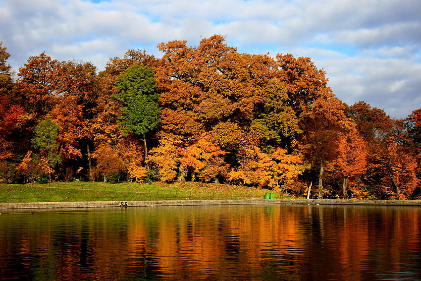 Wien Herbst - & Hintergrund, Herbst HD-Hintergrundbild