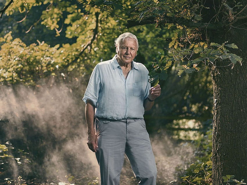 Sir David Attenborough warnt in der neuesten BBC-Dokumentation „David Attenborough: A Life On Our Planet“ vor einer Aussterbekrise HD-Hintergrundbild