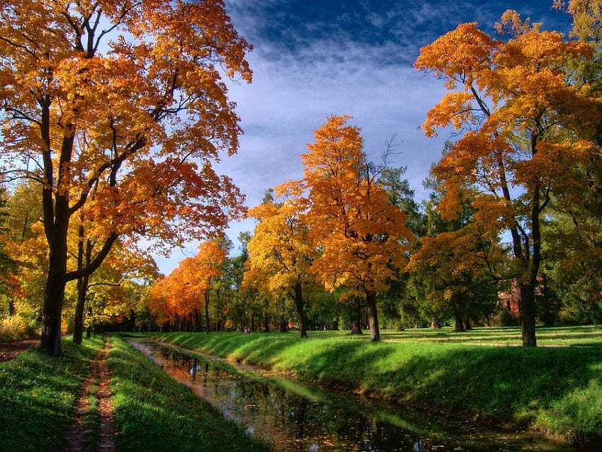 運河の秋、青空、列、運河、オレンジと赤、木々、秋、晴れた日、緑の草 高画質の壁紙