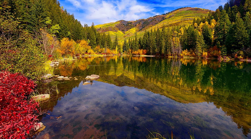Autumn in Colorado, hills, fall, colors, beautiful, serenity, tranquil, mountain, lake, reflection, trees, autumn, forest, Colorado HD wallpaper