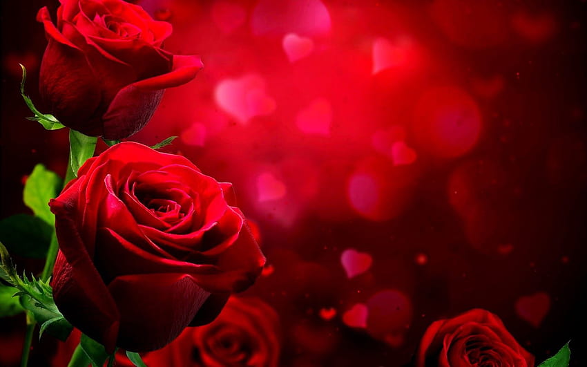 Puisi Cinta Kutipan Romantis Hubungan Jodoh Api Kembar Wallpaper HD