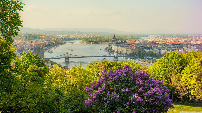 Budapest Citadel Ultra Background for U TV : & UltraWide & Laptop : Tablet : Smartphone, Hungarian Landscape HD wallpaper