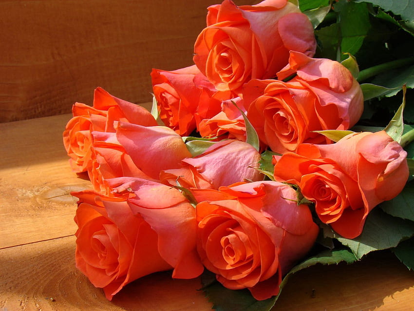 Kwiaty, róże, piękno, bukiet, ławka Tapeta HD