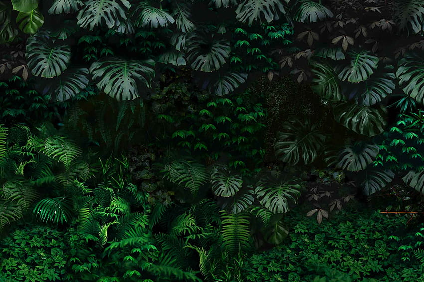 A di un muro giardino verde scuro con piante tropicali e foglie di felce con ombre scure. Design da parete Cara Saven Sfondo HD