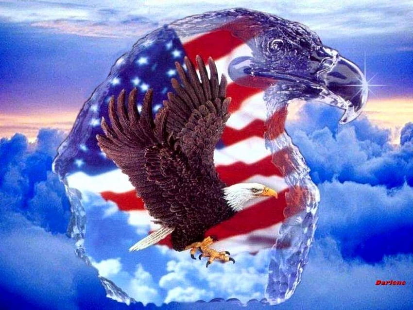 American Luxury American Bald Eagle Ideas - A la izquierda del Hudson, Native Eagle fondo de pantalla