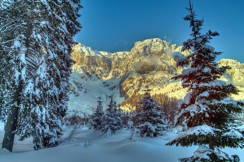 Zima, Natura, Drzewa, Góry, Śnieg, Alpy, Austria, Świerk, Jodła Tapeta HD