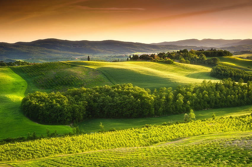 イタリアの自然、風景、イタリア、緑、美しさ 高画質の壁紙