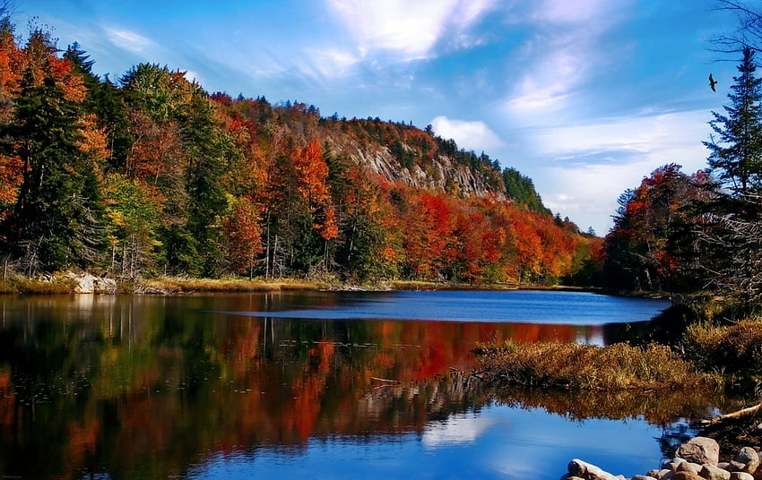 Adirondack 주립 공원, 뉴욕, 색깔, 호수, 일광, 일, 이파리, 반사, 구름, 가을, 자연, 하늘, 산들, 물, 숲 HD 월페이퍼