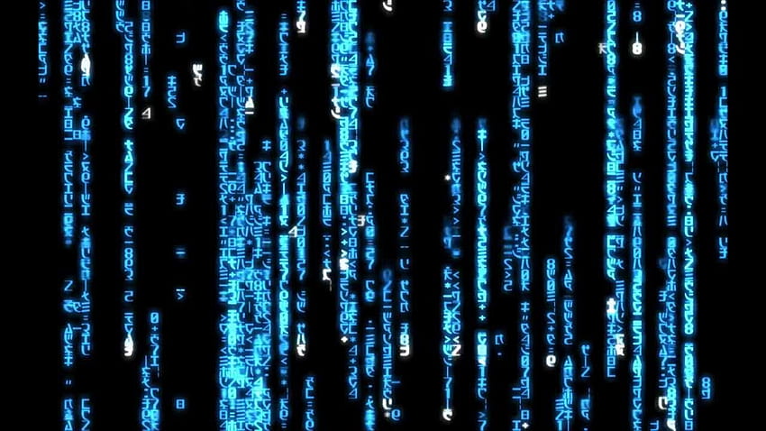 Matrix Code Blue สำหรับ Dreamscene [] สำหรับมือถือและแท็บเล็ตของคุณ สำรวจบลูเมทริกซ์ รหัสไบนารีเมทริกซ์, รหัสเมทริกซ์, เมทริกซ์เคลื่อนไหว, การเข้ารหัสสีน้ำเงิน วอลล์เปเปอร์ HD