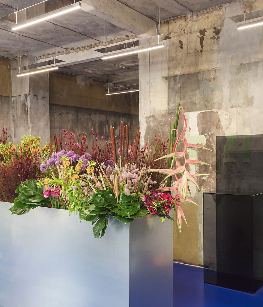 Ein architektonischer Blumenladen Tableau wird in Kopenhagen eröffnet. * HD-Handy-Hintergrundbild
