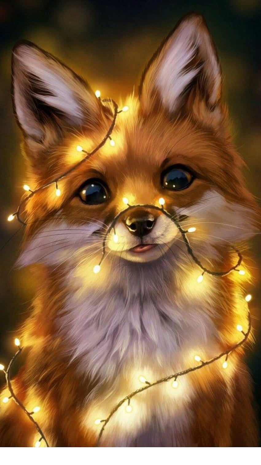 Annabel Qatato on My Stuff. Cute animal drawings, Cute fox, Cute Fox Art HD phone wallpaper