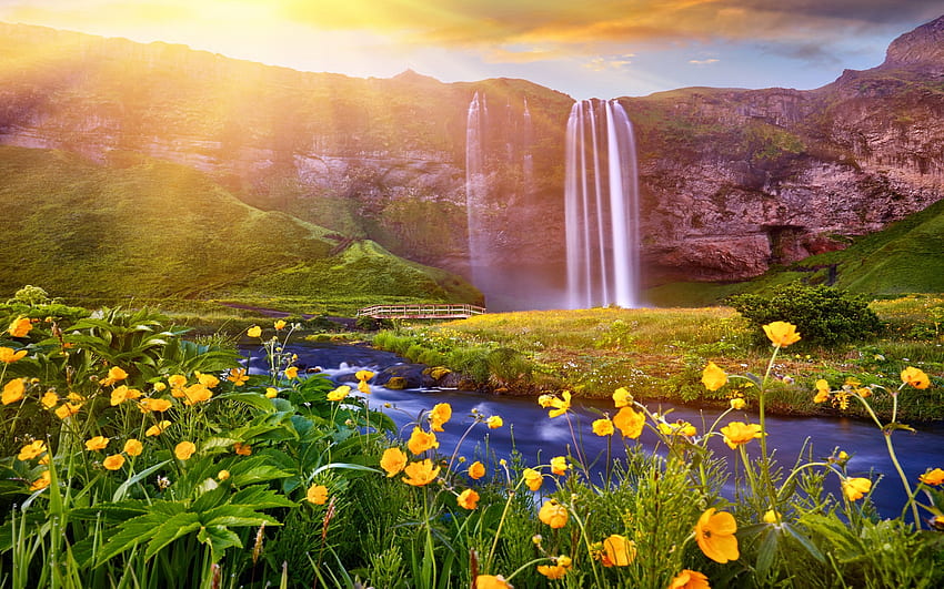 Cascata al tramonto, raggi, fiori di campo, cascata, bella, tramonto, Europa, montagna Sfondo HD