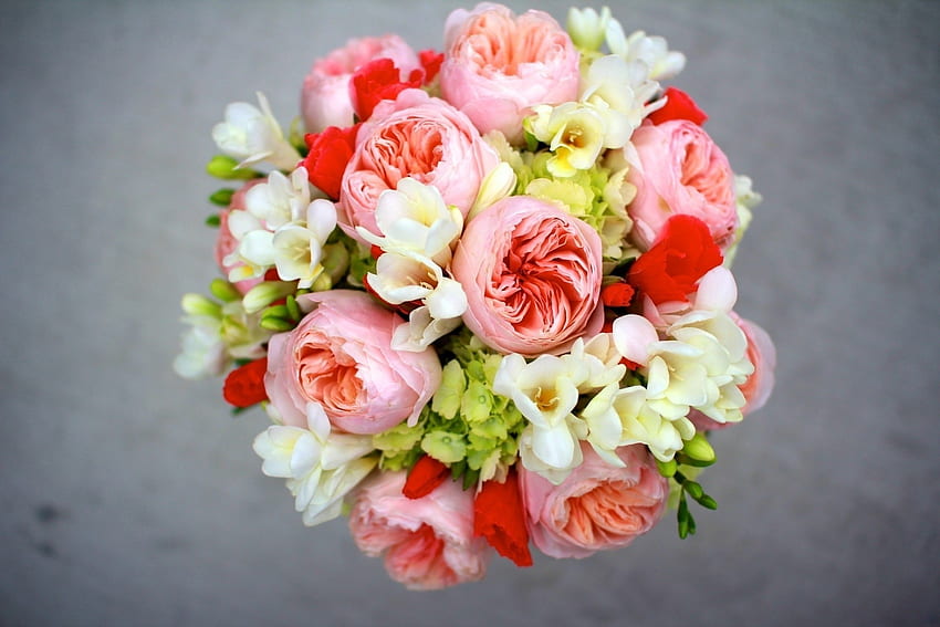 Fleurs, Pivoines, Bouquet, sia, sias Fond d'écran HD
