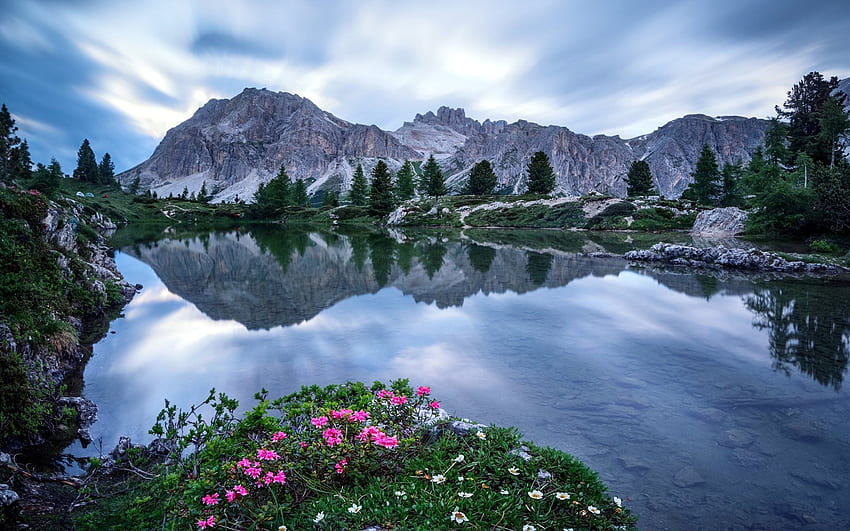 ดอกไม้, อากาศครึ้ม, ตอนเย็น, gori, ภูเขา, ทะเลสาบบนภูเขา, สอากาศโปขระสำหรับความละเอียด คุณสูง วอลล์เปเปอร์ HD