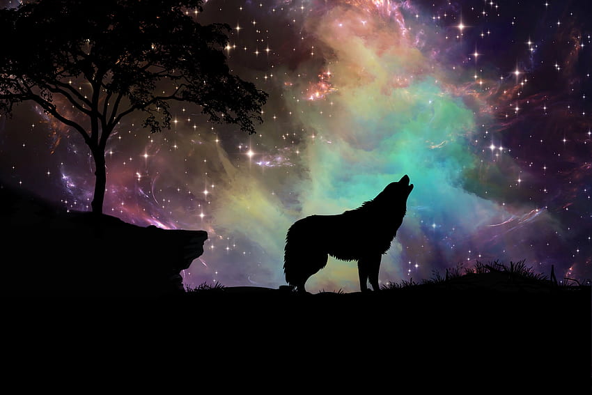 Art, Dark, Silhouette, Starry Sky, Wolf HD wallpaper