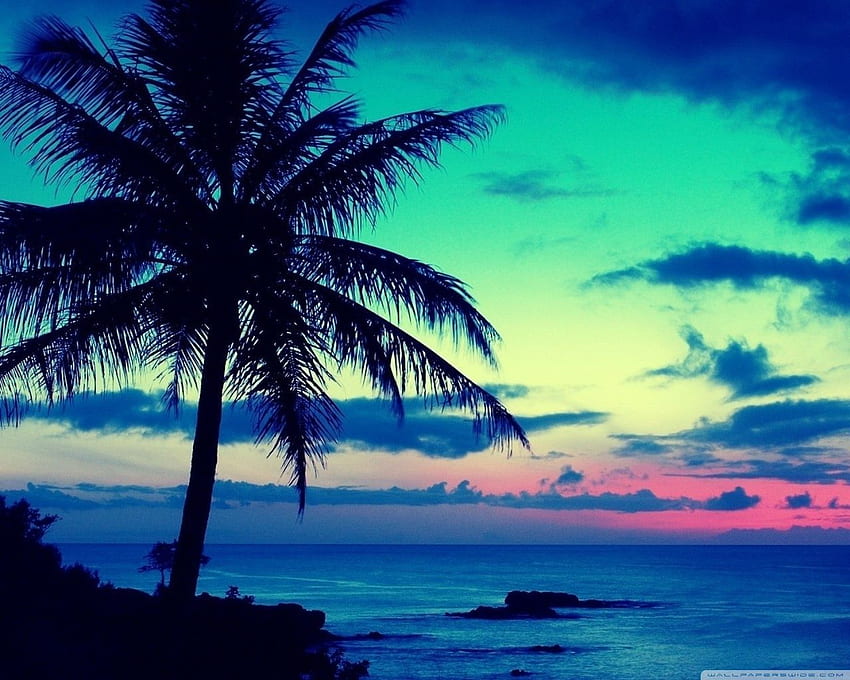 Schöner tropischer Inselsonnenaufgang - Hawaii. Blauer Sonnenuntergang, Strand, Strand HD-Hintergrundbild