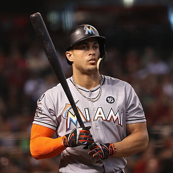 Giancarlo Stanton wallpaper by AlamRodriguez - Download on ZEDGE