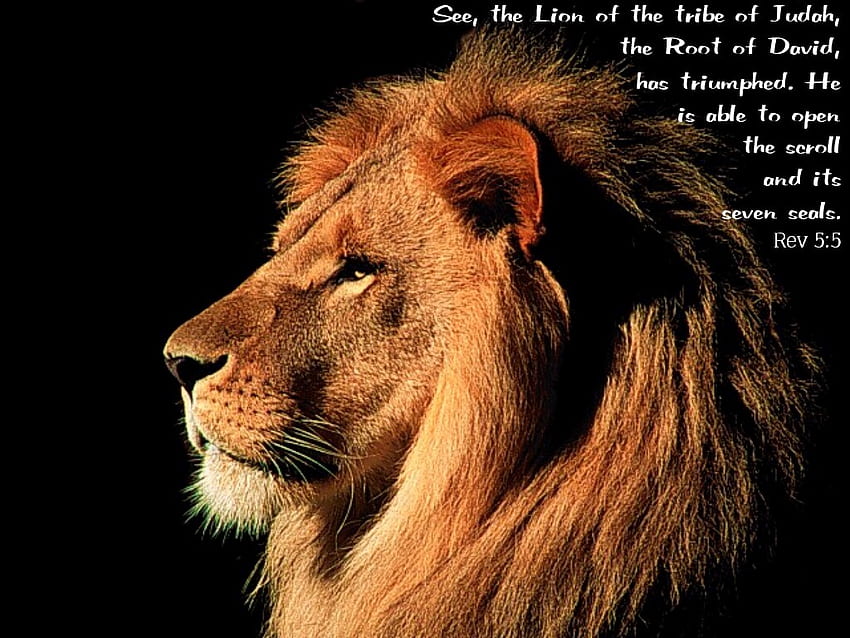 Lion Of Tribe Judah Christian - Lion Of The Tribe Of Judah, Lion Cross HD wallpaper