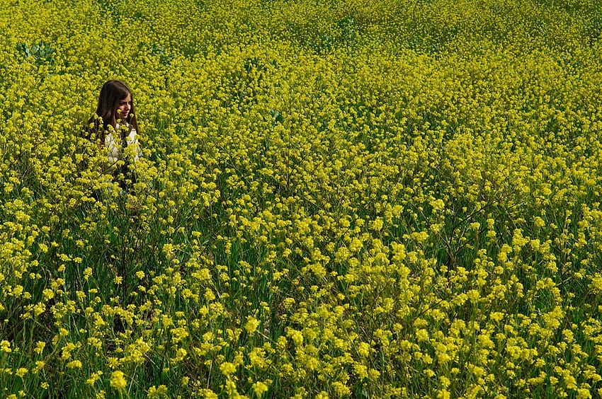 Лейди Пролет, изкуство, поле, жълто, красиво, цветя, момиче, пролет HD тапет
