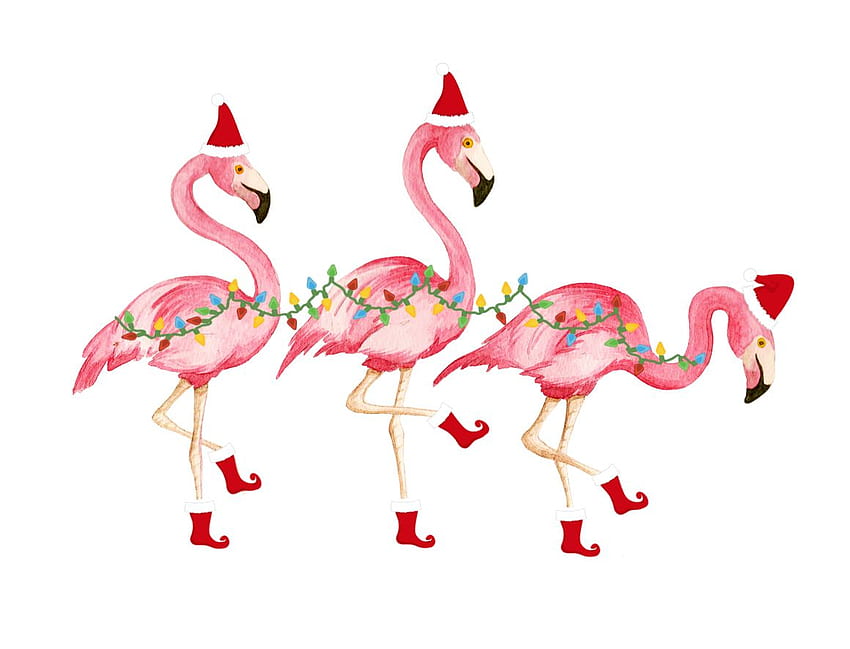 Flamingowe pomysły na zabawę. flaming, różowe flamingi, flaming art, Christmas Flamingo Tapeta HD