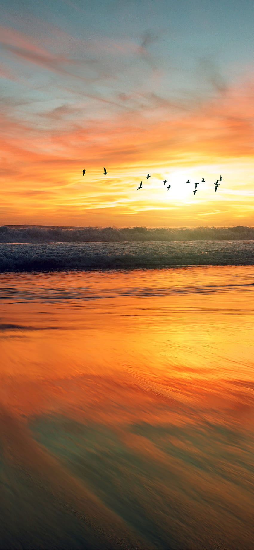 Sunset Sea Nature Orange Summer Sky Bird Animal , Sunset Bird HD phone wallpaper