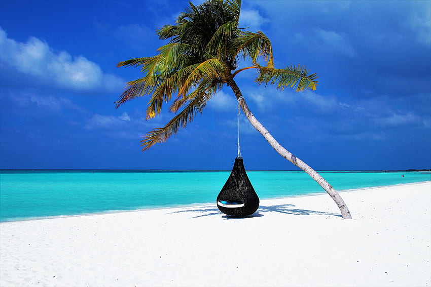 Natura, Plaża, Piasek, Ocean, Palma, Relaks, Odpoczynek, Kurort, Malediwy, Relaks Tapeta HD