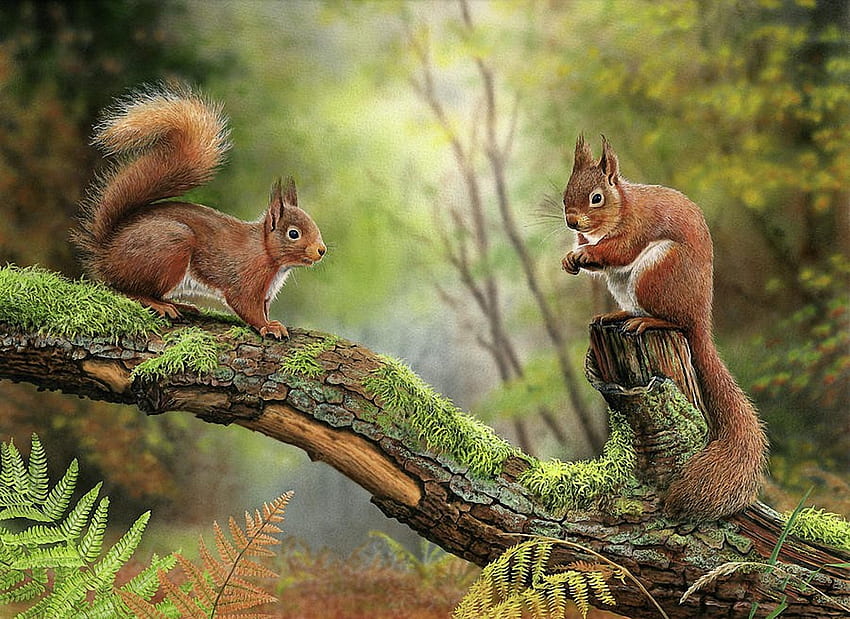 Red Squirrels, two, squirrel, animals, tree, painting HD wallpaper