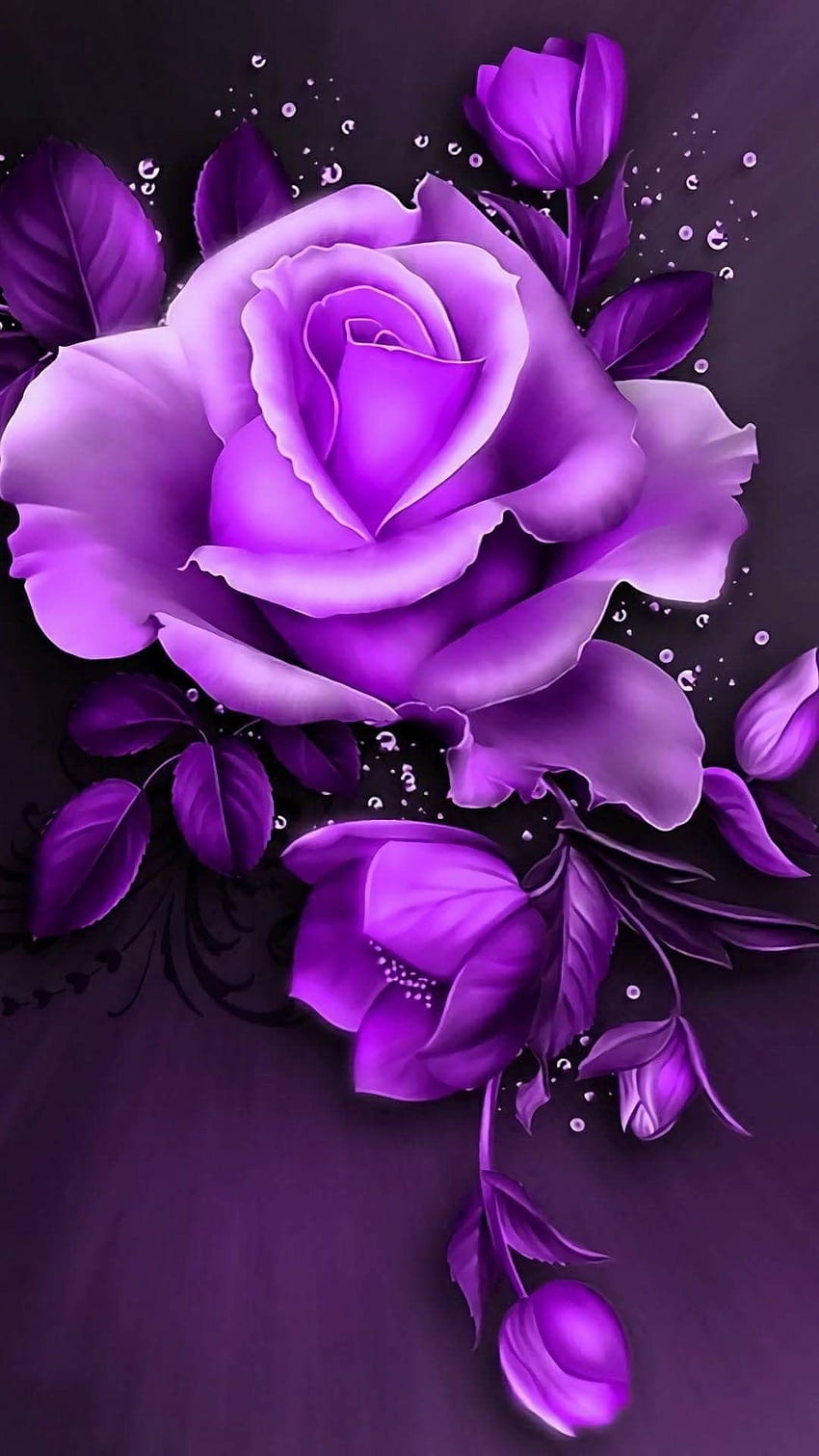Purple Rose, Aesthetic Purple Rose HD phone wallpaper | Pxfuel