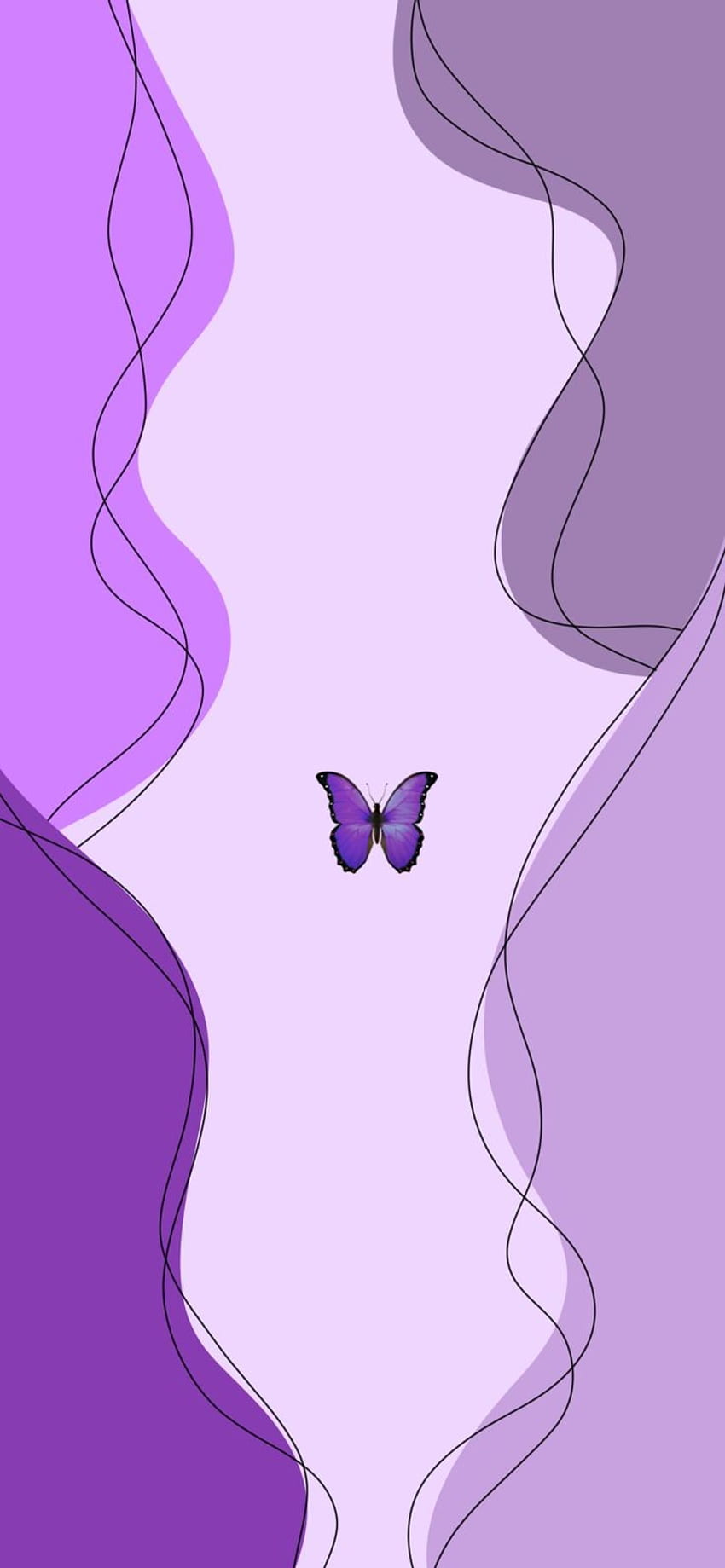 나비, 보라색 HD 전화 배경 화면