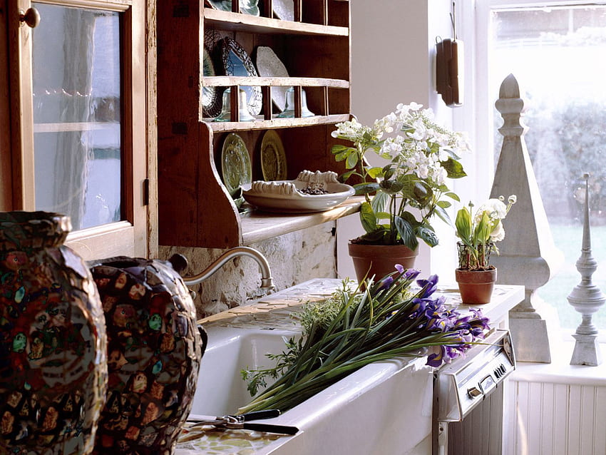 Plants, , , Coziness, Comfort, Tables, Dining Room HD wallpaper