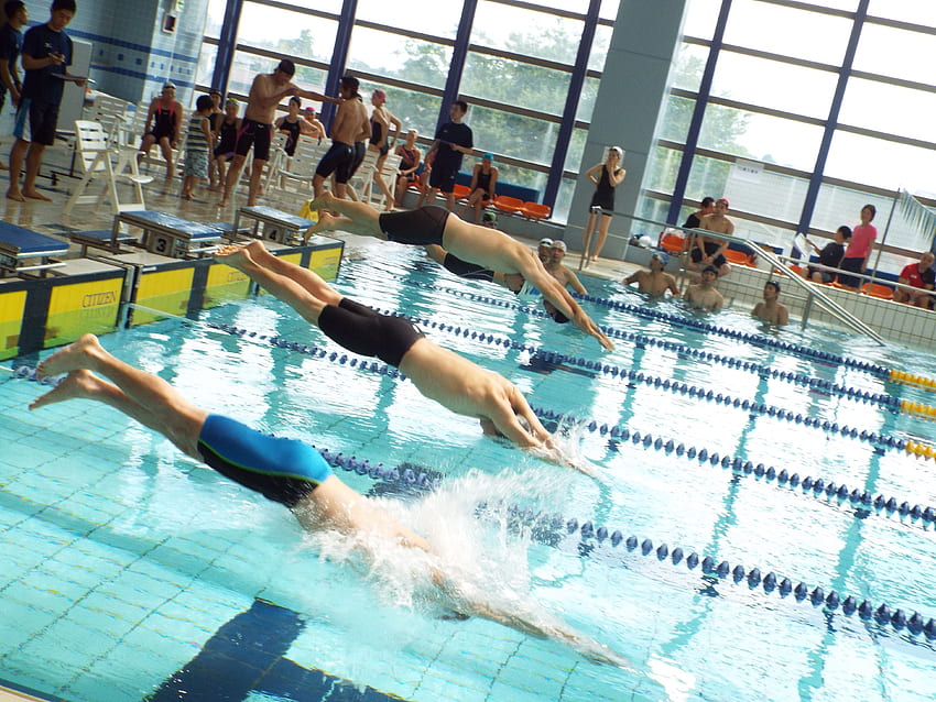 Swimming competition jump.jpeg, Competitive Swimming HD wallpaper