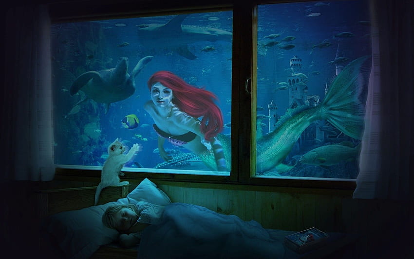 The Little Mermaid, Blue Ariel HD wallpaper | Pxfuel