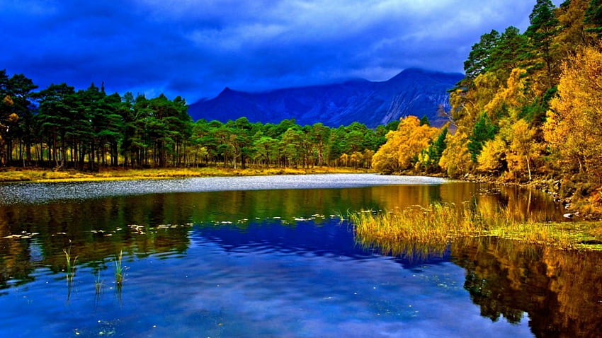 湖に映る青空、青、反射、空、森、湖、山 高画質の壁紙