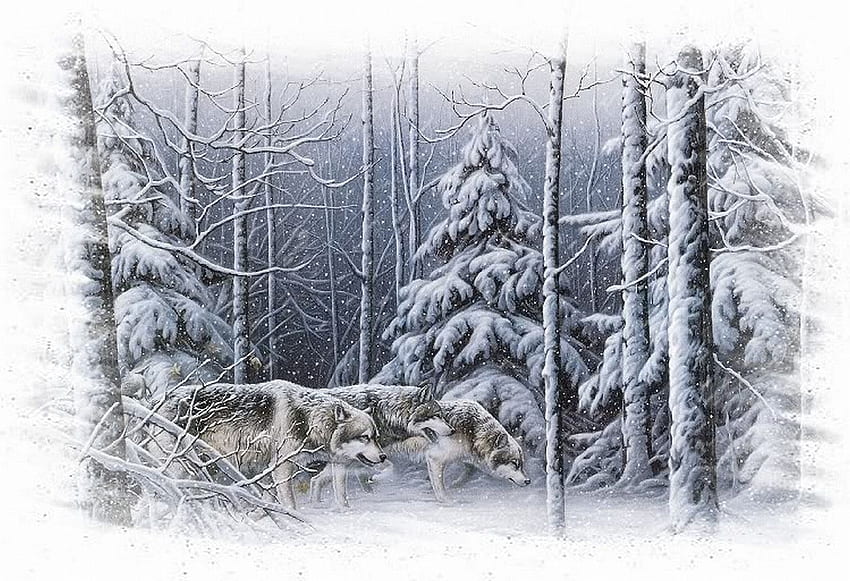 The Strong Survive, winter, wolves, survival, lobo, wolf, animals, snow, trees, nature, hunting, forest HD wallpaper