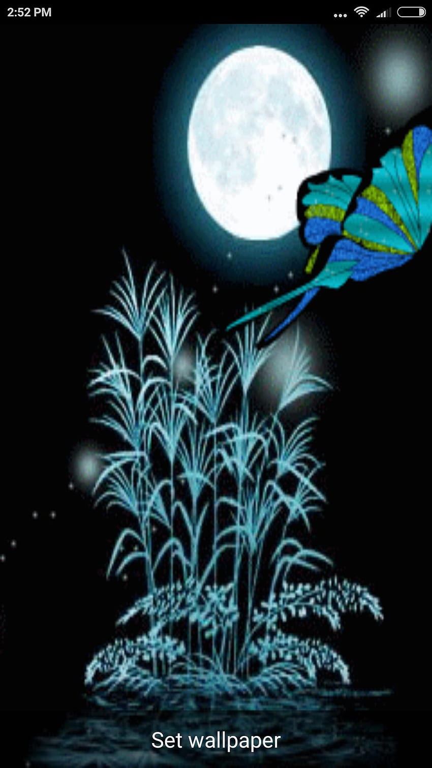 Live Butterfly for Android, Moon Butterfly HD phone wallpaper