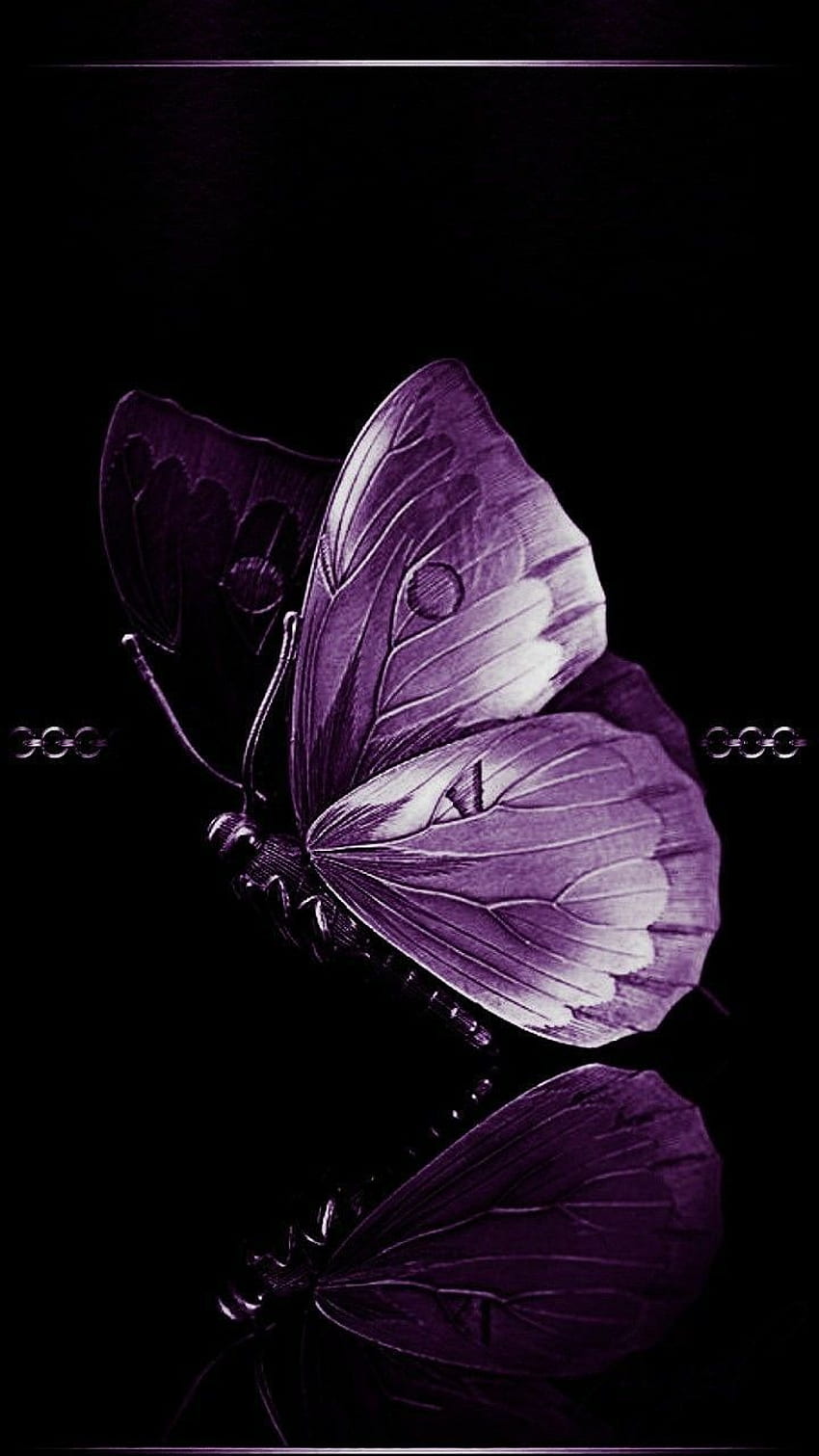 Dark Butterfly Wallpapers  Top Free Dark Butterfly Backgrounds   WallpaperAccess