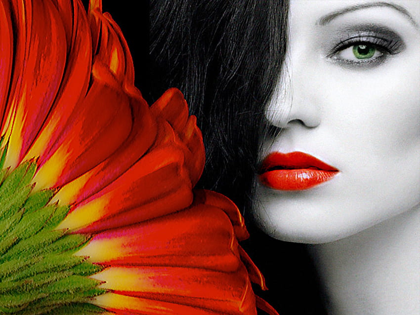 Gerbera, model, beautiful, people, nice, woman, lady, pretty, red, she, look, female HD wallpaper