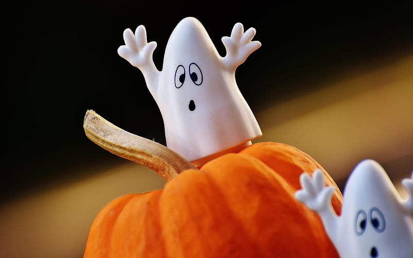 Ghostly Surprise, pumpkin, Halloween, Autumn, ghost HD wallpaper