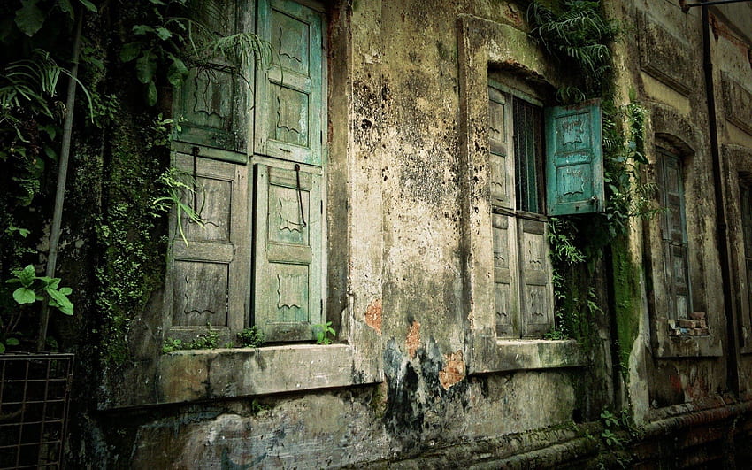 古い家、放棄された建物の自然 高画質の壁紙