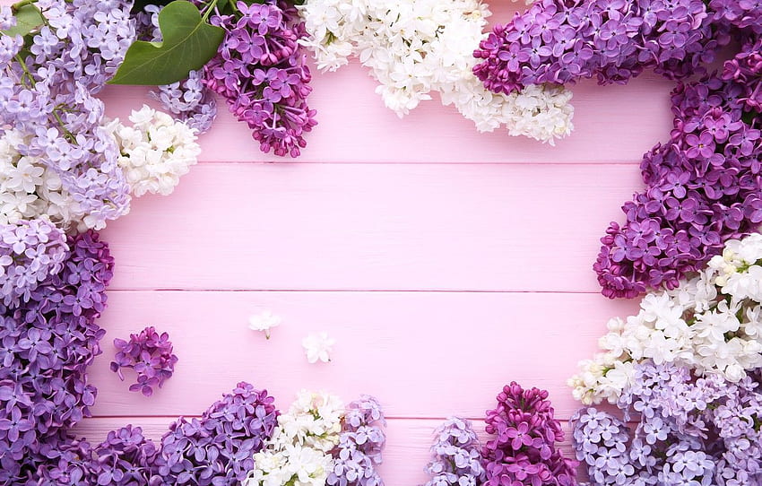 flowers, background, wood, flowers, lilac, purple, lilac HD wallpaper