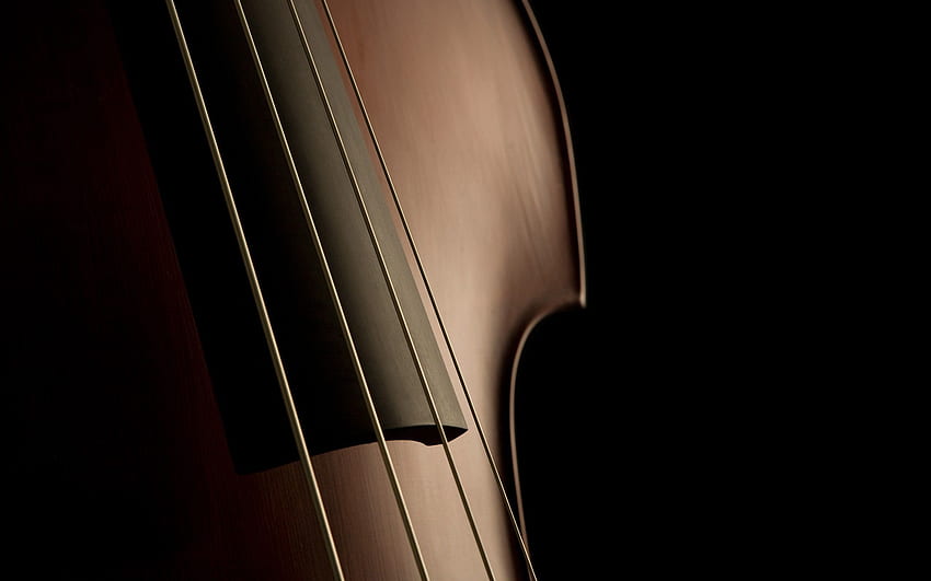 Violins Cello Wallpoper 367092 [] for your , Mobile & Tablet. Explore Double Bass . Double Bass , Double , Double Helix HD wallpaper